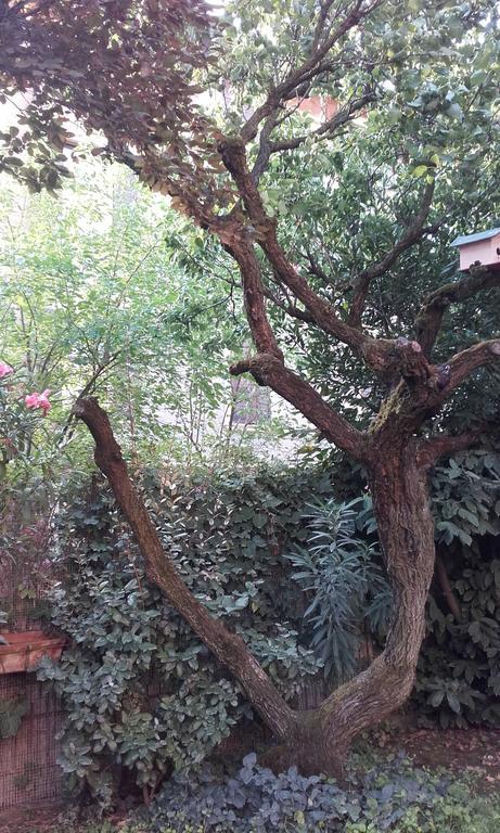 Appartamento Giardino Verde Modena Kültér fotó